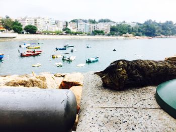 View of boats in harbor