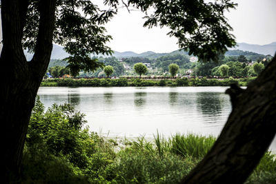 Scenic view of lake with mountains in background