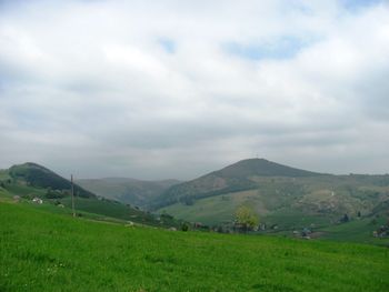 Scenic view of agricultural field against sky