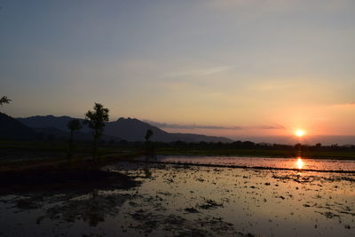 Scenic view of beach against sky during sunset
