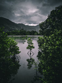 Scenic view of lake by trees against sky