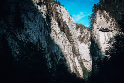 Low angle view of rock formation amidst trees against sky