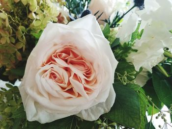 Close-up of rose bouquet