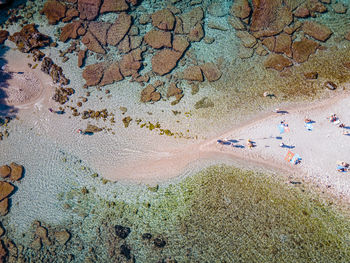 High angle view of rocks on beach