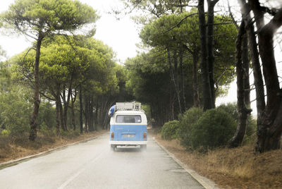 Car on road amidst trees in forest