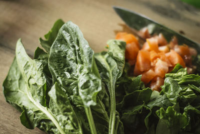 Close-up of chopped spinach and tomatoes on table