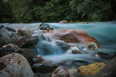 Scenic view of waterfall in forest