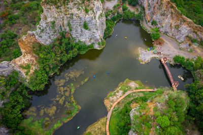 High angle view of trees by sea