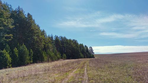 Road amidst trees on field against sky