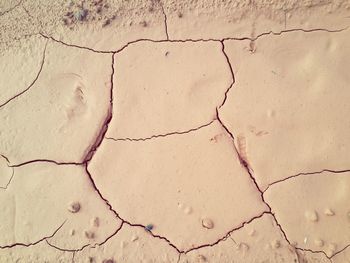 Detail shot of cracked surface