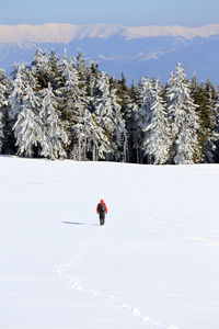 Man walking on snow covered landscape