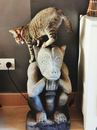 Close-up of cat sitting on floor at home