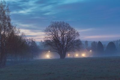 Bare trees on landscape