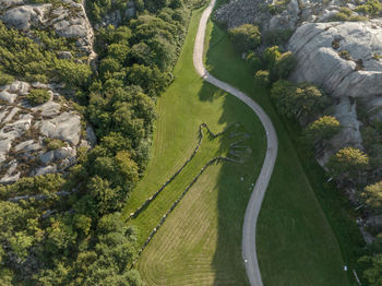 High angle view of road amidst trees