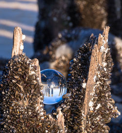 Close-up of crystal ball