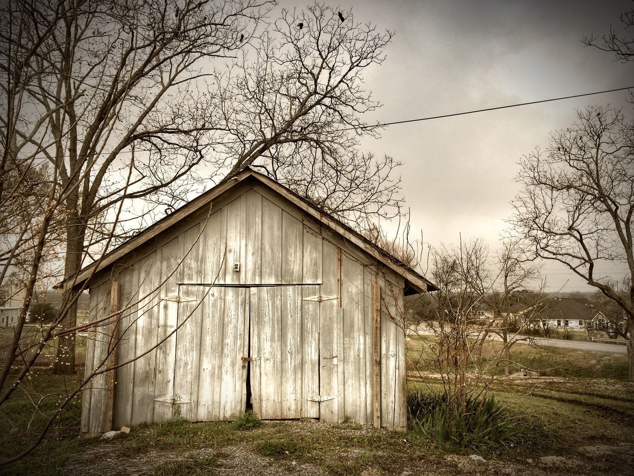 architecture, built structure, building exterior, sky, house, bare tree, tree, field, grass, branch, rural scene, residential structure, outdoors, no people, nature, growth, day, fence, old, barn