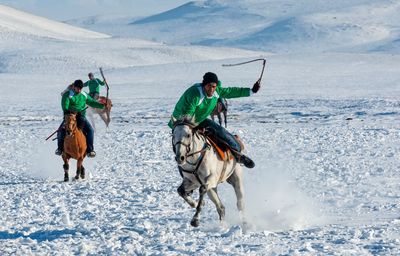 People riding horse on land