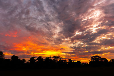 Silhouette trees against dramatic sky during sunset