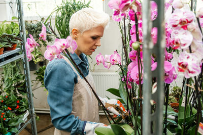 Female gardener examining flower seedlings. woman working