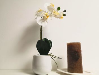 Close-up of white orchid in vase on table next to candle