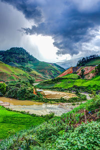 Scenic view of field against cloudy sky