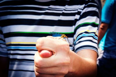 Midsection of boy holding dragonfly
