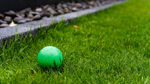 Close-up of ball on grass