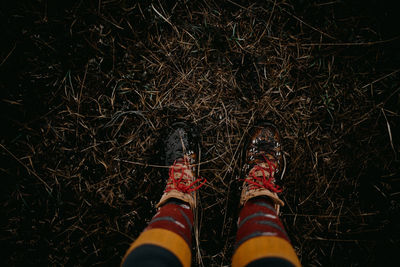 Low section of person standing on field