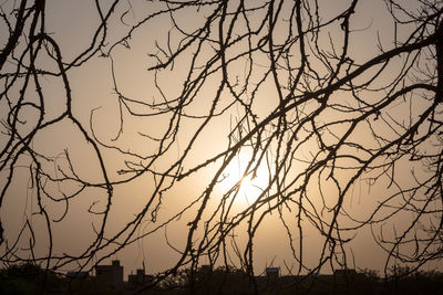 Bare trees against sky at sunset