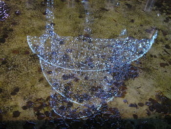 Close-up high angle view of water