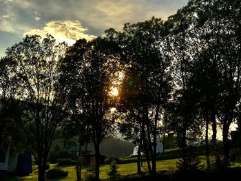 Low angle view of silhouette trees against sky during sunset