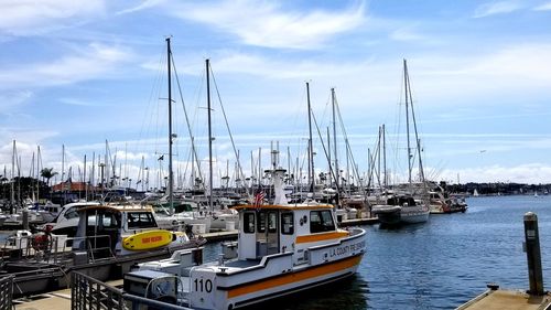 Sailboats moored in harbor