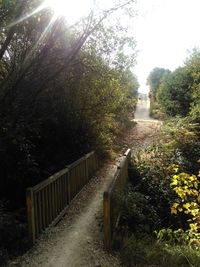 Footbridge over footpath amidst trees