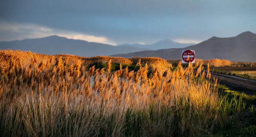 Road sign on field against sky