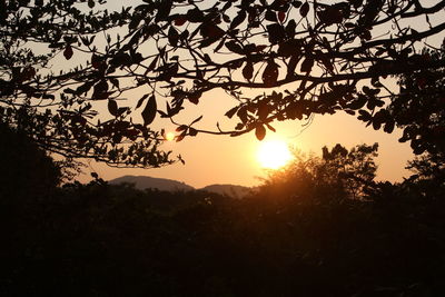 Silhouette trees against sky during sunset