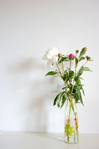 White flower in glass vase on table against wall