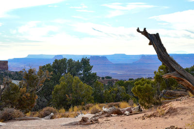 Scenic view of landscape against sky