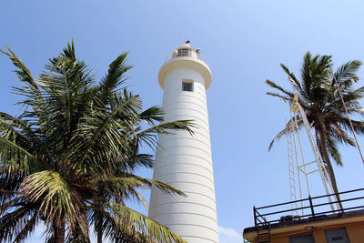 Low angle view of palm tree and building against sky