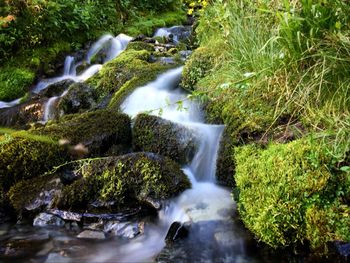 Stream flowing through rocks