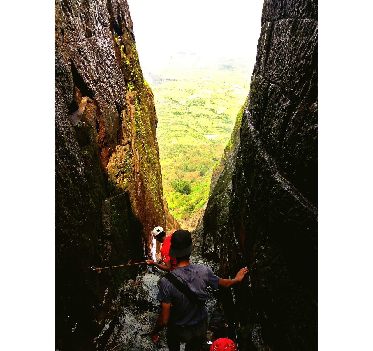 REAR VIEW OF MEN ON MOUNTAIN AGAINST TREES