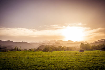 Scenic view of field against sky during sunset