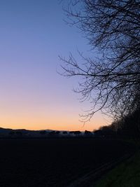 Silhouette trees on field against clear sky during sunset