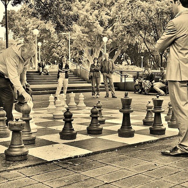 person, tree, men, lifestyles, leisure activity, rear view, walking, in a row, large group of people, outdoors, day, medium group of people, park - man made space, standing, street, togetherness, casual clothing, side by side, full length