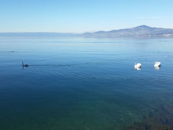 Scenic view of mountain range