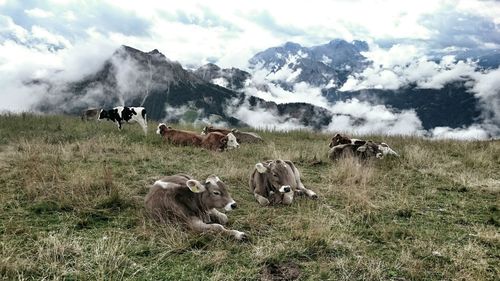 Scenic view of grassy field against cloudy sky