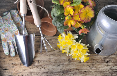 High angle view of flower pot on table