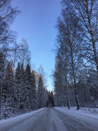 Road amidst bare trees against sky during winter