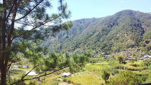 Scenic view of mountains