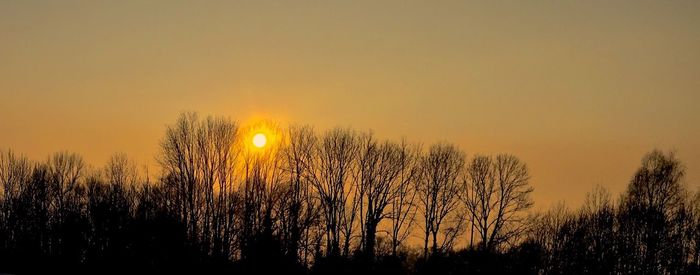 Silhouette trees against sky during sunset