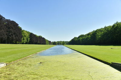 Scenic view of field against clear blue sky